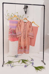 Ahava Stitched Embroidered Lawn Collection D-09